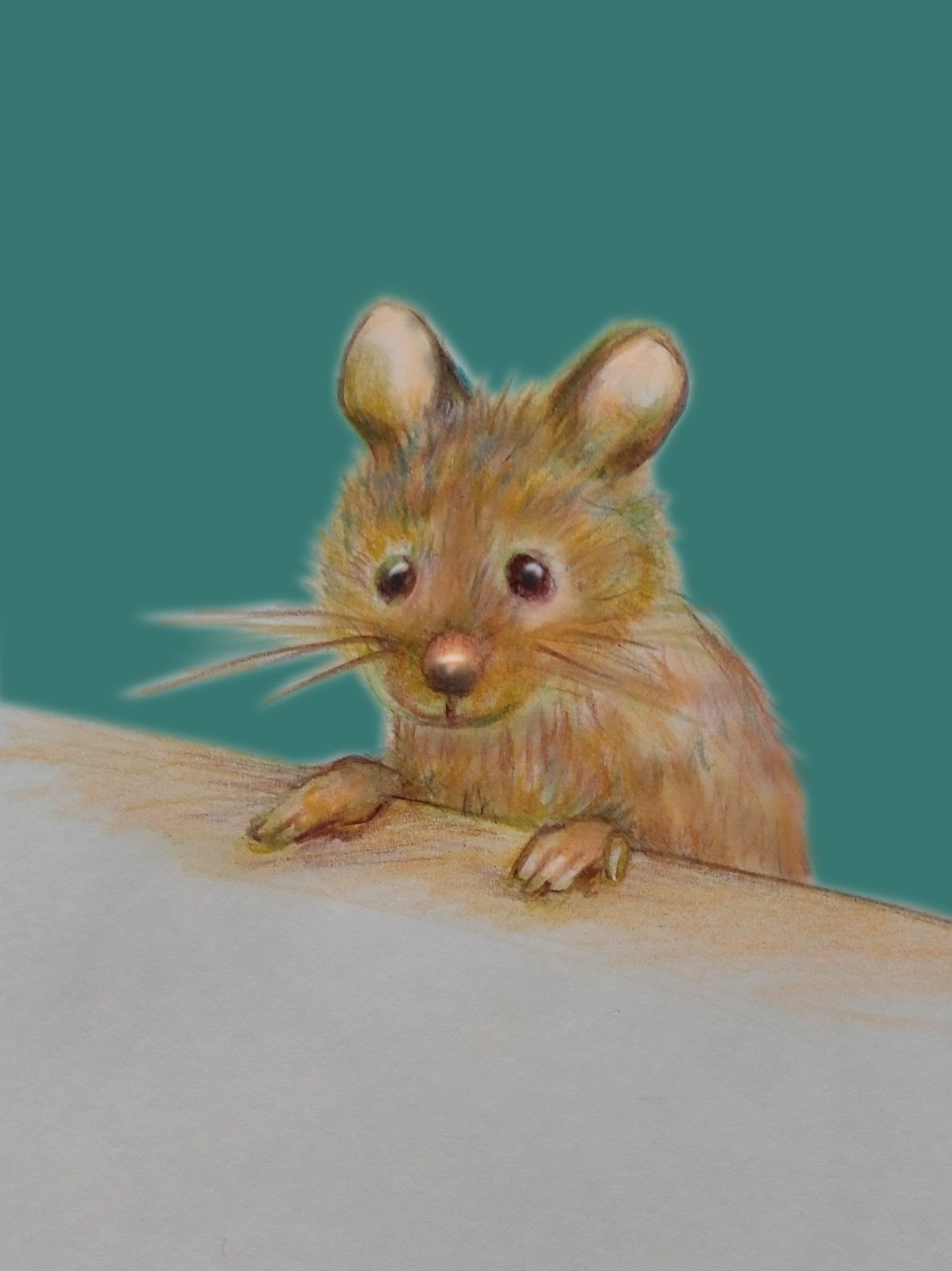 illustration jeunesse Anneka